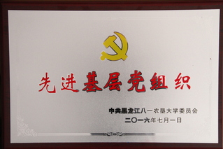 韦德官方网站先进基层党组...